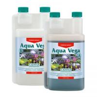 Canna Aqua