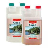 Canna Coco