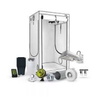 Anzucht & Stecklinge